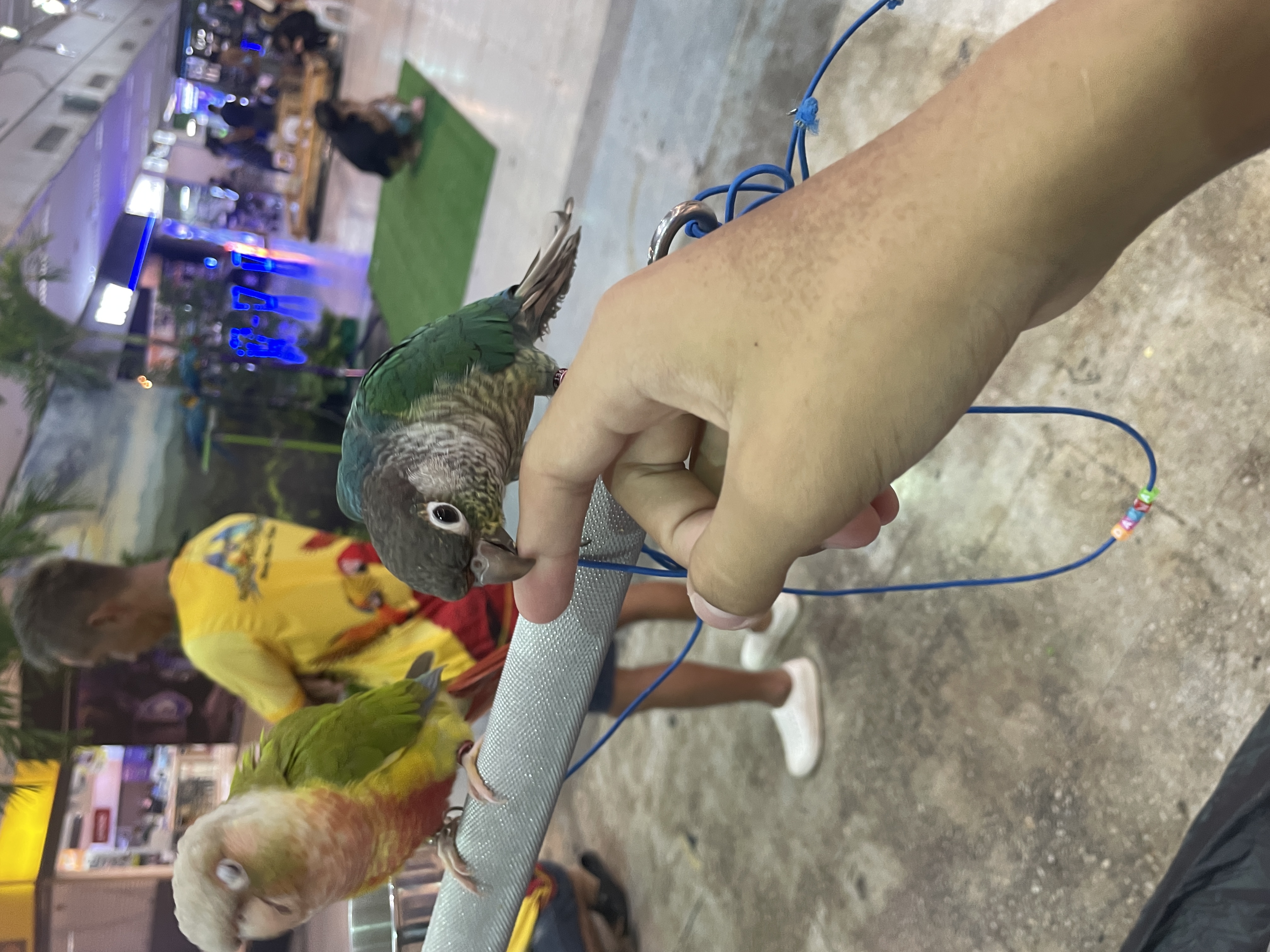 ภาพอื่นๆ 10